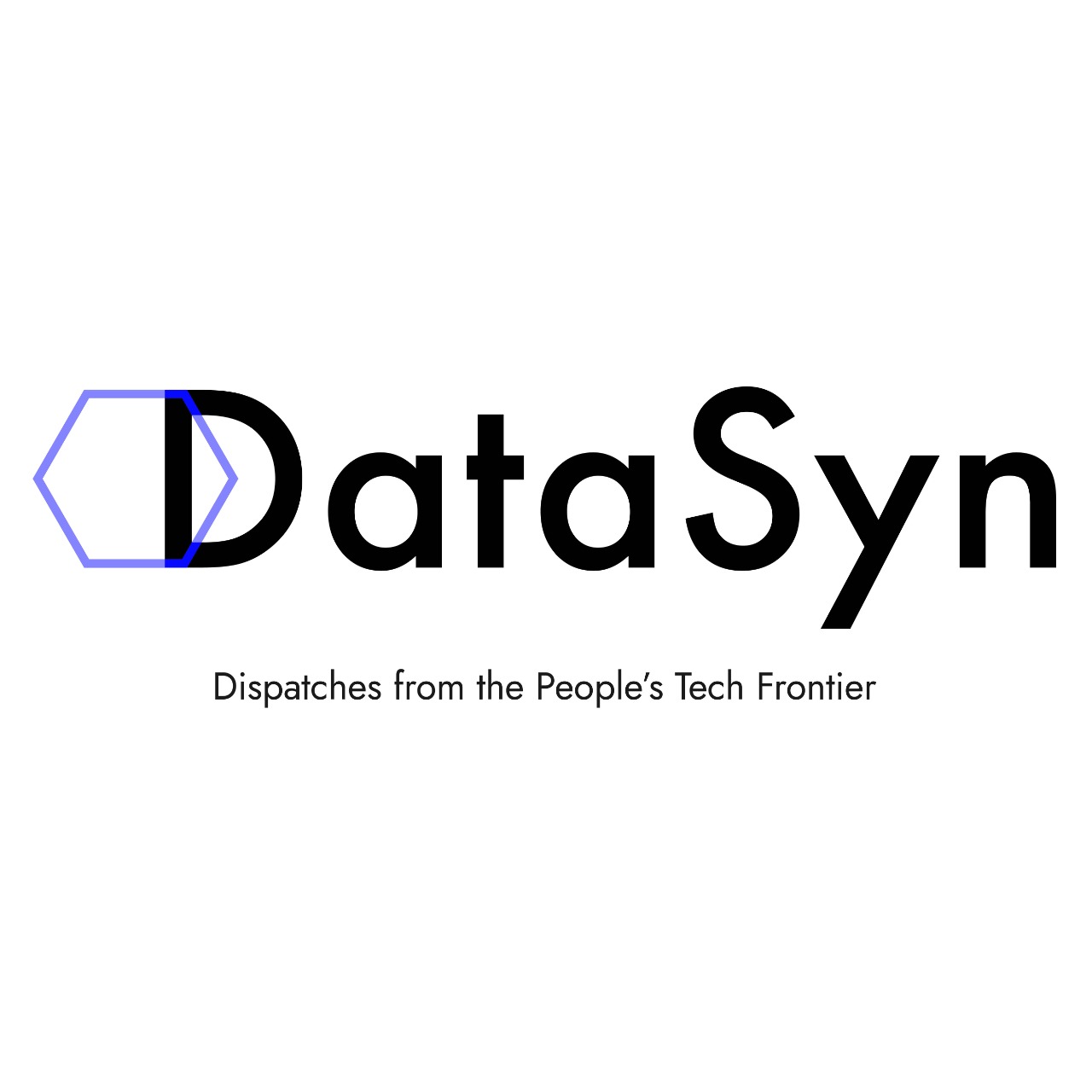 The DataSyn Team